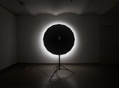 David Maljkovic, Temporary Projections, 2011.